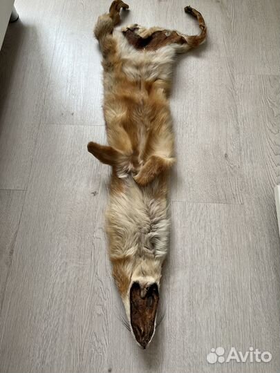 Мех лисы. (торг)