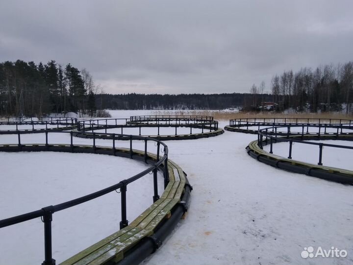 Садки для разведения рыбы