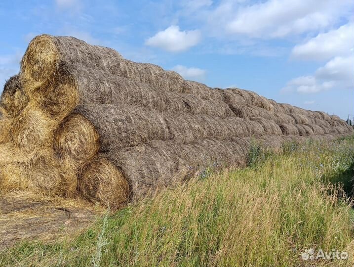 Сено луговое