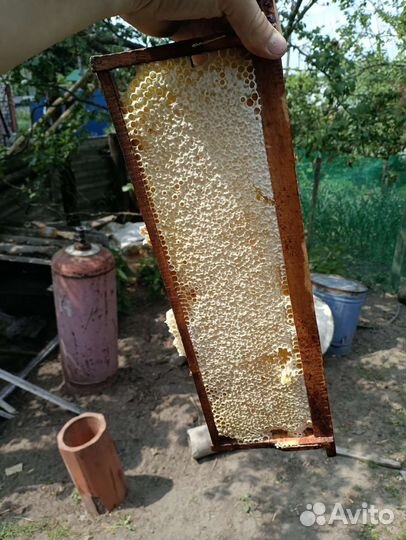 Мед и другие продукты пчеловодства