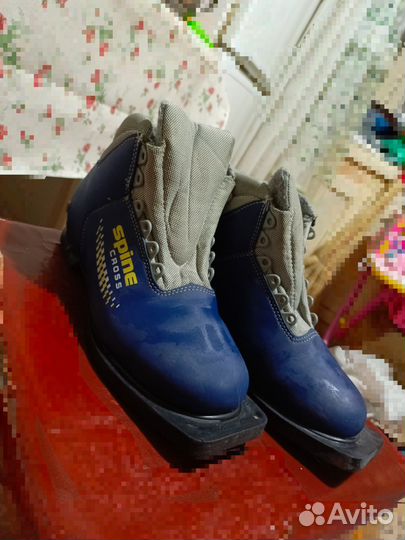 Лыжные ботинки