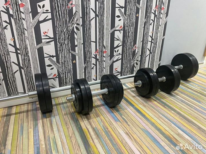 Штанга + гантели 55 кг