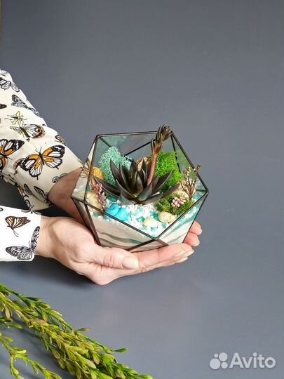 Мастер-класс по изготовлению флорариума