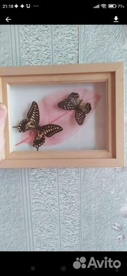 Картины репродукция разные