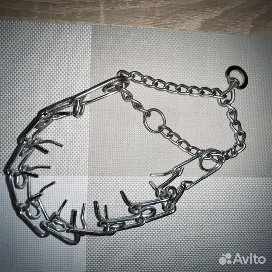 Строгий ошеник для собак