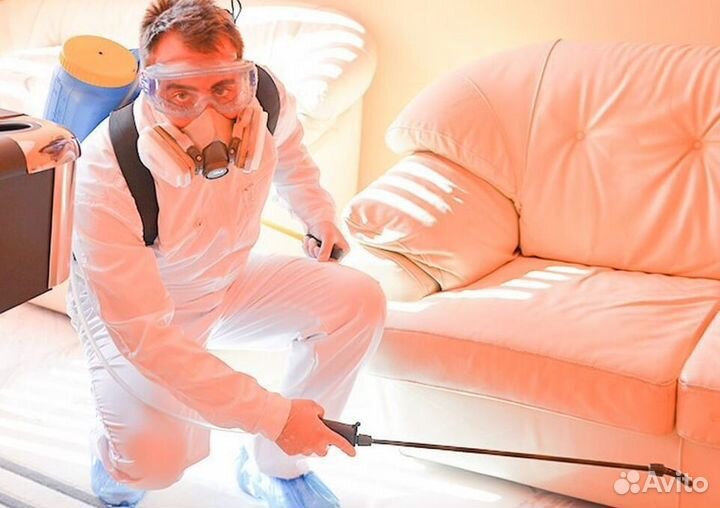 Уничтожение тараканов клопов клещей