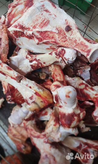 Кости для собак