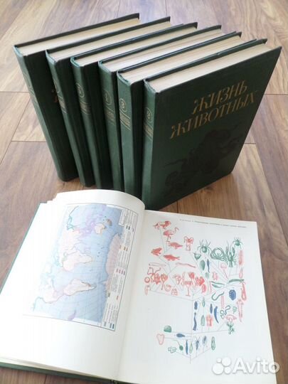 Энциклопедия