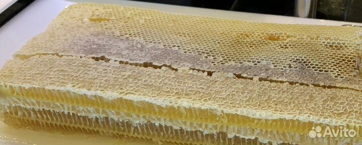 Мёд, Галстук Gulliver