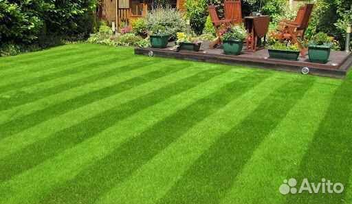 Укладка газона