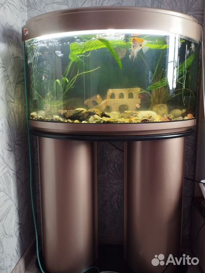 Аквариум с тумбой бу