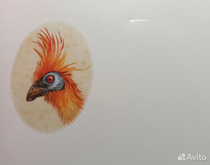 Harry Potter - A History of Magic