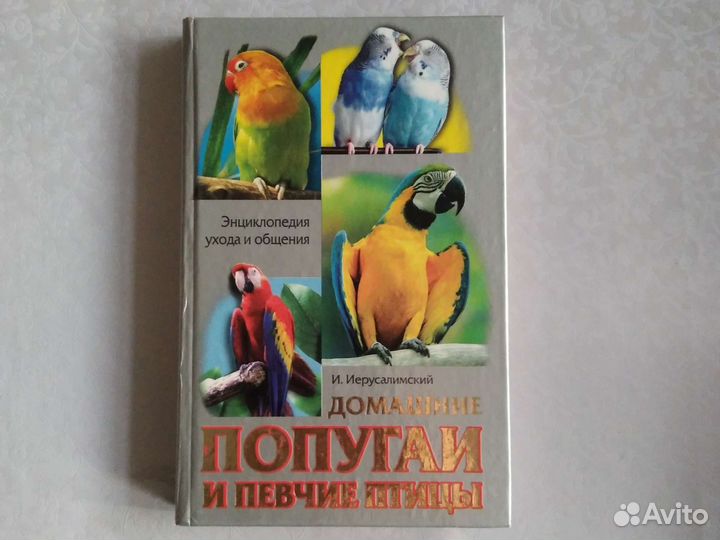 Домашние попугаи и певчие птицы