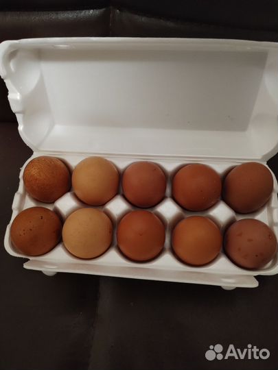 Домашние куриные яйца