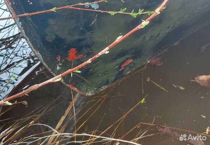 Лодка Воронеж