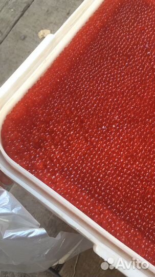 Икра красная