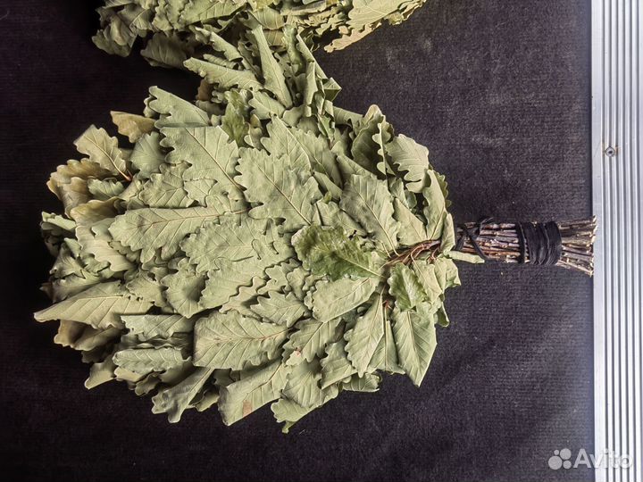 Дубовые веники для бани