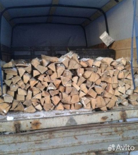Дрова береза