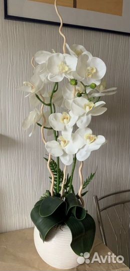 Орхидея фаленопсис силикон