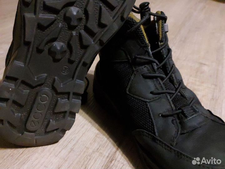 Ботинки ecco на мальчика