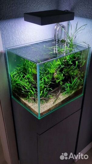 Аквариумы для Акваскейпа