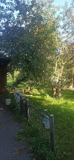 Дом 37,2 м² на участке 6 сот.