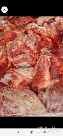 Мясо для собак (субпродукты)