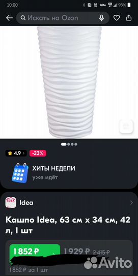 Фикусы с высокими кашпо