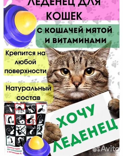 Кошачья мята шарик