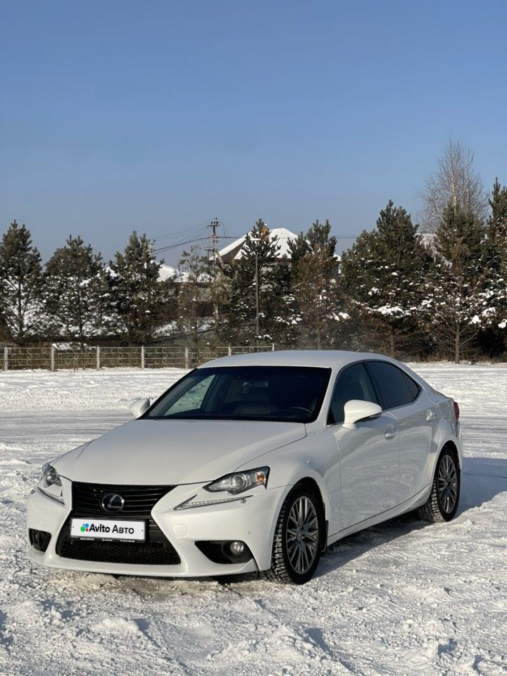 Lexus IS: фото владельца