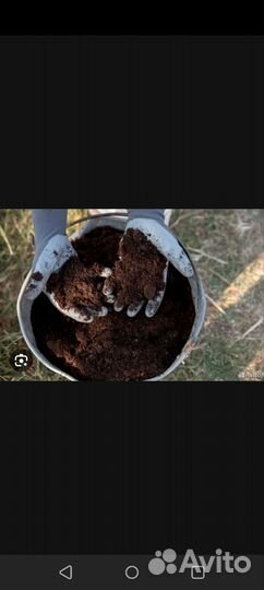 Удобрение перегной плодородная земля