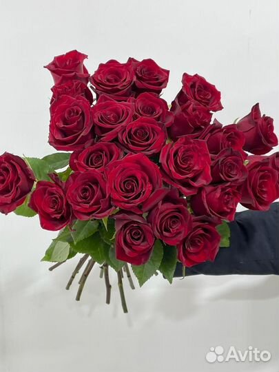25 роз Эквадор 50 см