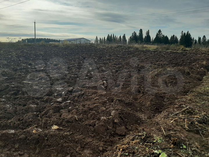 Участок 20 сот. (СНТ, ДНП)