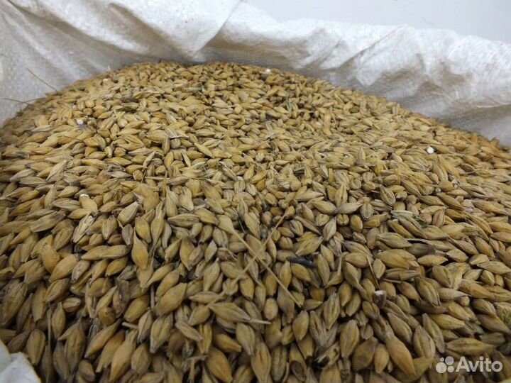 Кoрма для животных