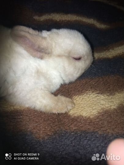 Милашки девочки