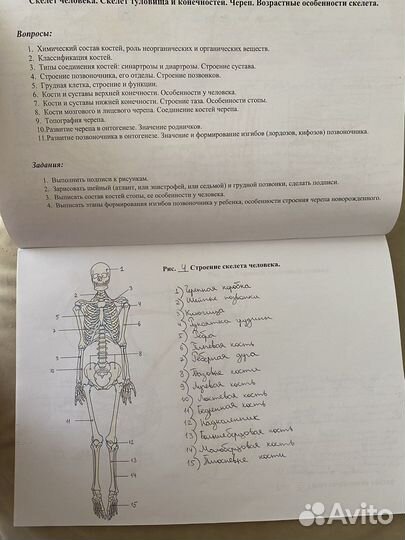 Альбомы для студентов