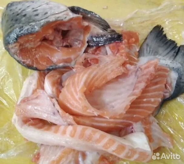 Набор для ухи из семги