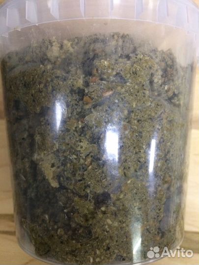 Прикормка Убойная