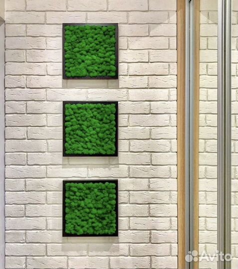 Фитостены со стабилизированным мхом