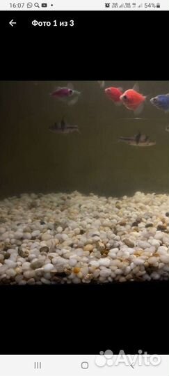 Камни грунт для аквариума