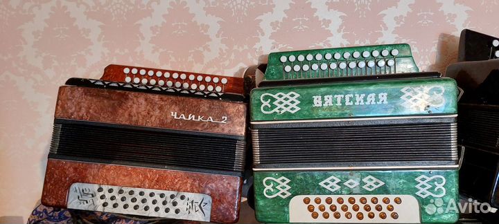 Гармонь чайка 2 кировская