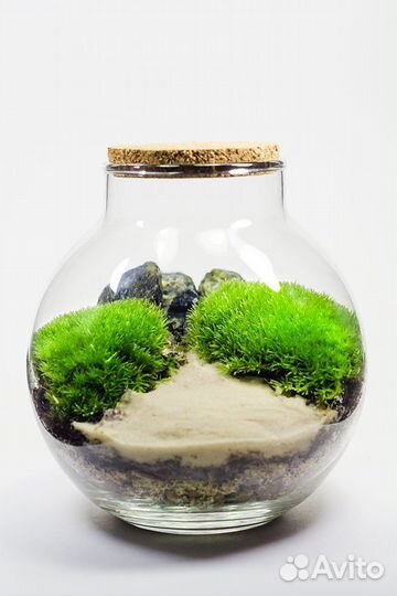 Набор для создания флорариума с живым мхом