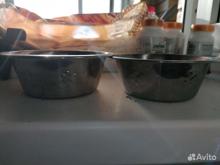 Миски для мелких собак