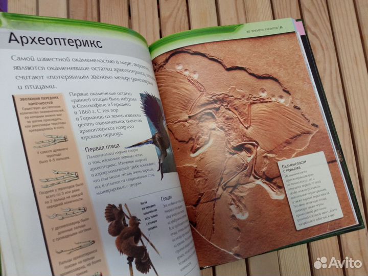 Современная детская энциклопедия Динозавры