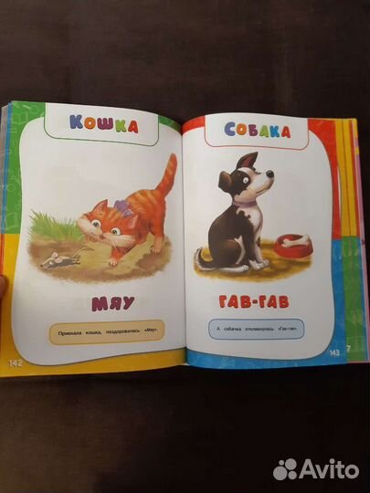 Годовой курс занятий