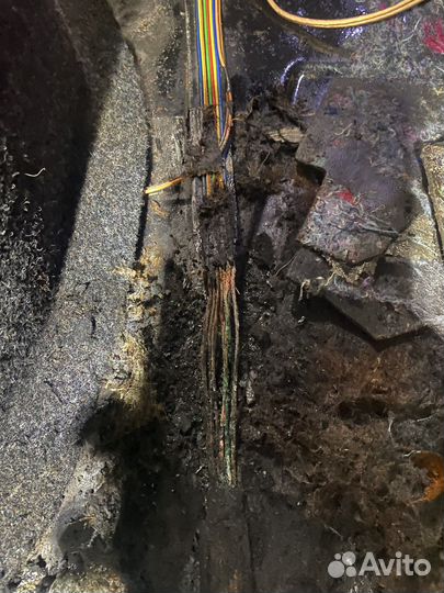 Автоэлектрик