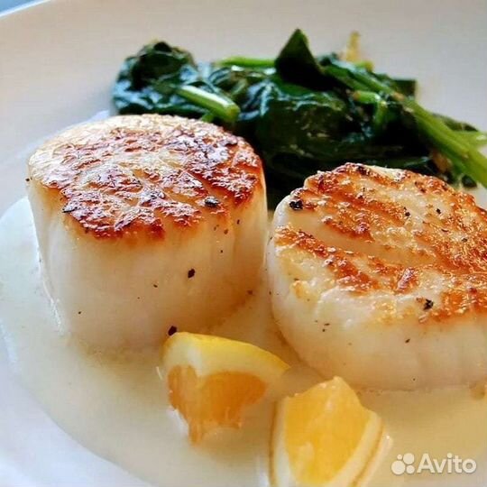 Морской гребешок (дальневосточный)