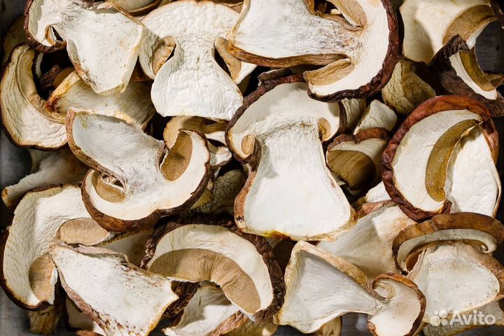 Белый гриб сушеный