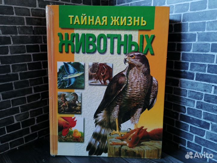 Тайная жизнь животных (Попурри 1999 год)