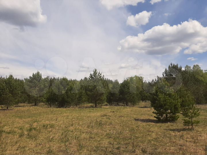 Участок 10 сот. (СНТ, ДНП)